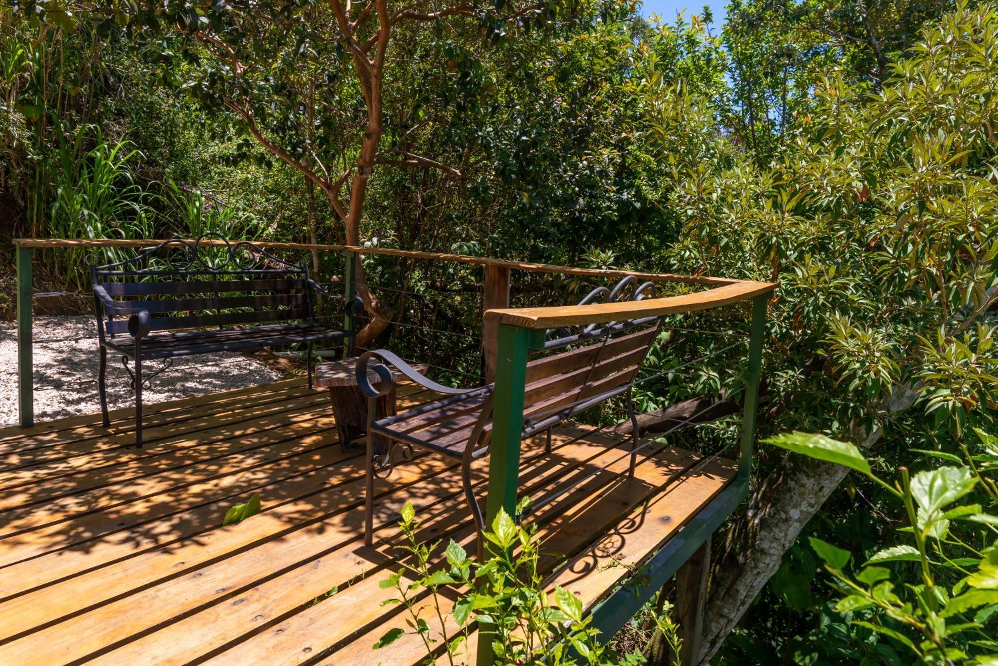 Cabinas Capulin & Farm Monteverde Kültér fotó